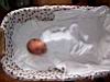 Resize of 100_1070.JPG